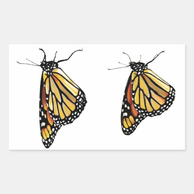 Adesivo Retangular Pinheiros Dois Monarcas Prendendo (Frente)