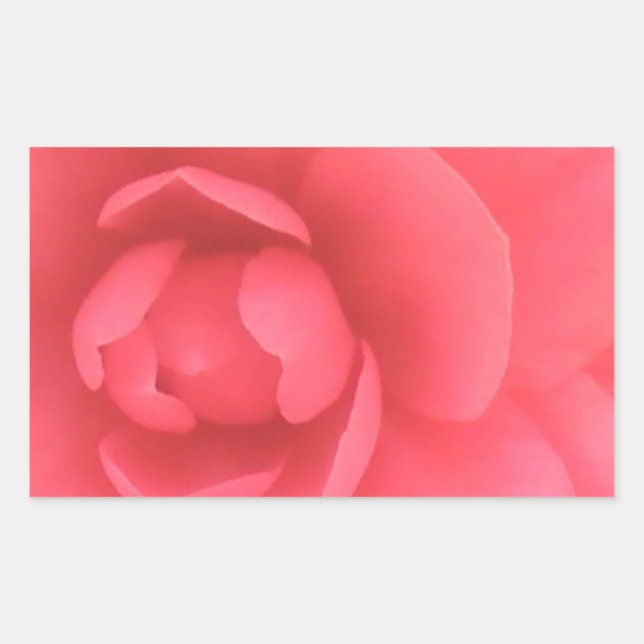 Adesivo Retangular Pink Camellia (Frente)
