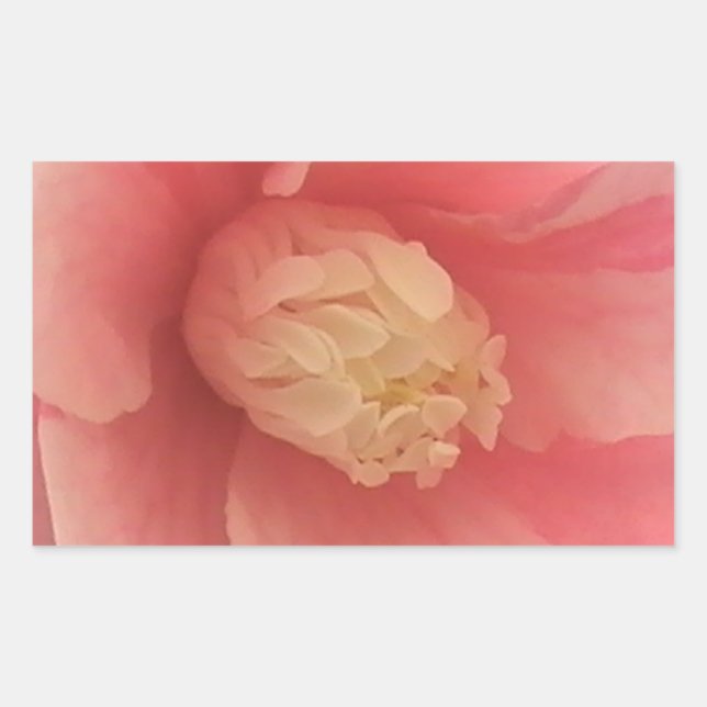Adesivo Retangular Pink Camellia (Frente)