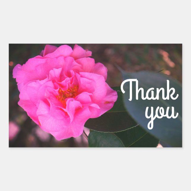 Adesivo Retangular Pink Camellia Obrigado Pinheiros (Frente)