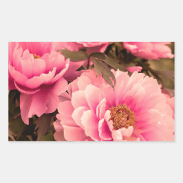 Adesivo Retangular Pink  Peony Flower
