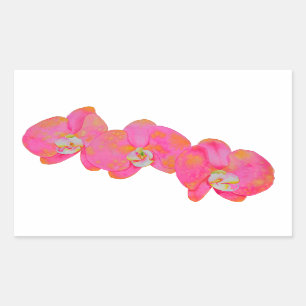 Adesivo Retangular Pintagem de cor d'água rosa