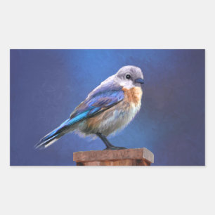 Adesivo Retangular Pintura de Bluebird (Mulher) - Arte de Pássaro Or
