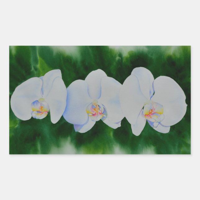 Adesivo Retangular Pintura de orquídea branca Elegante tropical (Frente)