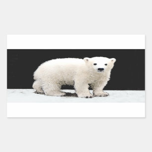 Adesivo Retangular Polar Bear Cub Painting - Arte Original