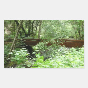 Adesivo Retangular Ponte Muir Woods I