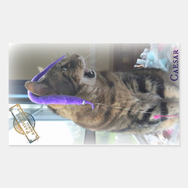 Adesivo Retangular PR Caesar Sticker (Frente)