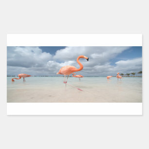 Adesivo Retangular Praia Aruba dos flamingos