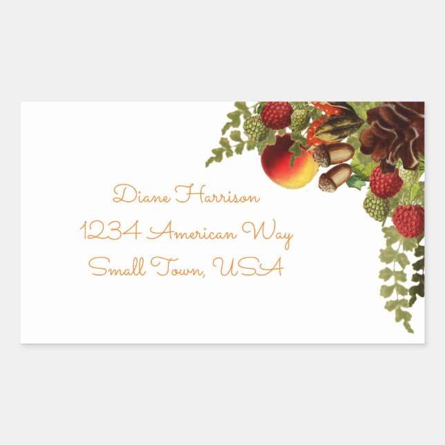 Adesivo Retangular Preencher Rótulo do Fruta (Frente)