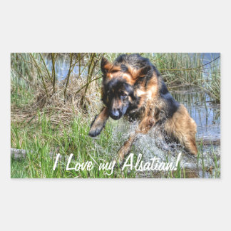 Adesivo Retangular Presente Alsaciano Plush German shepherd 5