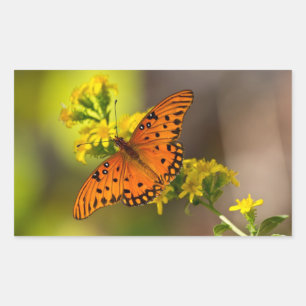 Adesivo Retangular Presentes e Roupas da Borboleta Fritillary Gulf