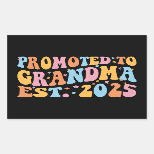 Adesivo Retangular Promovido À Avó Est. 2025 III