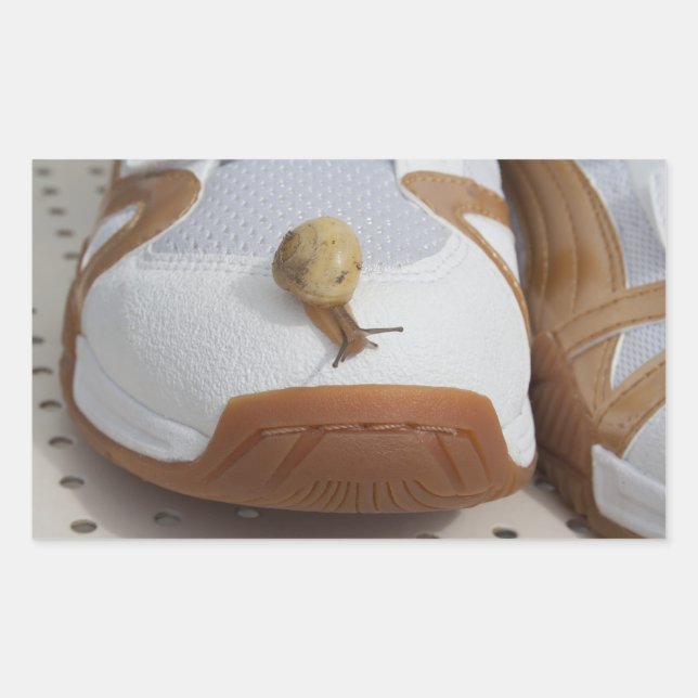 Adesivo Retangular Pronto Para Corrida De Caracol (Frente)