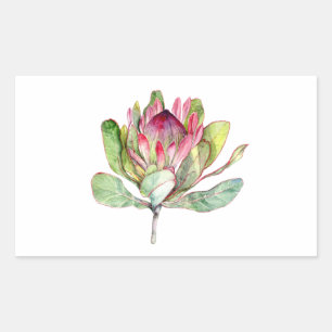 Adesivo Retangular Protea Flor