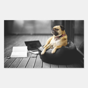 Adesivo Retangular Pug at Rest