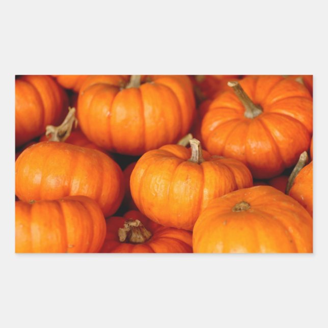 Adesivo Retangular Pumpkins (Frente)