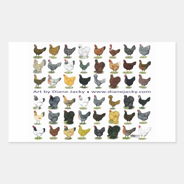 Adesivo Retangular Quarenta e oito Hen Promo (Frente)