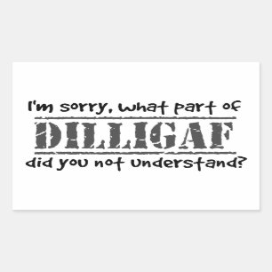 Adesivo Retangular Que parte de DILLIGAF você não compreendeu?
