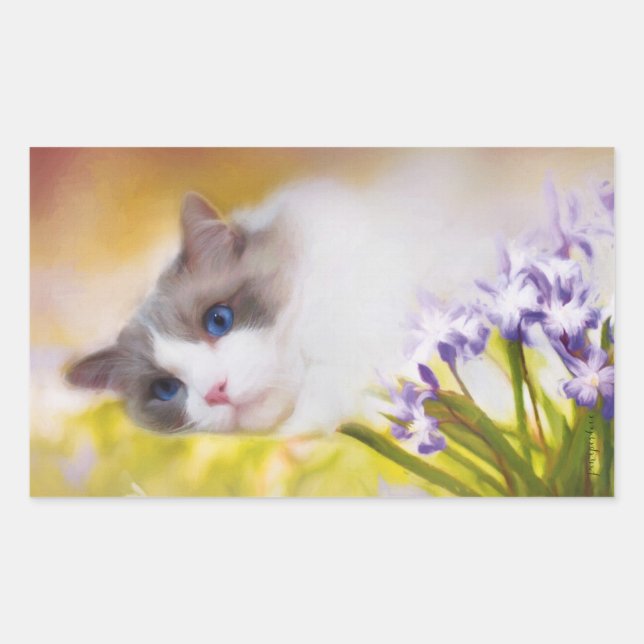 Adesivo Retangular Ragdoll Cat Stickers (Frente)