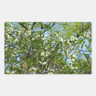 Adesivo Retangular Ramais de Primavera de Lagostas