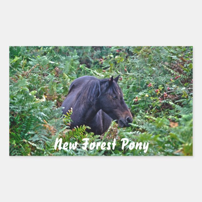 Adesivo Retangular Rare Black New Forest Pony - Wild Horse - Inglater (Frente)