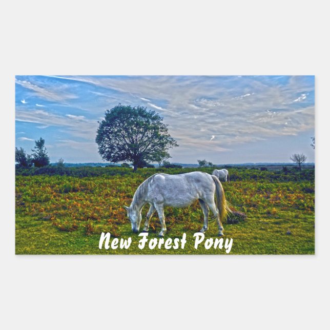 Adesivo Retangular Rare White New Forest Ponies, Cavalo Selvagem - In (Frente)