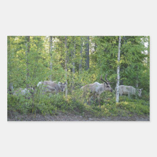 Adesivo Retangular Rebelde nos autocolantes da Lapónia