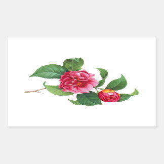 Adesivo Retangular Red Camellia por Pierre Joseph Redoute