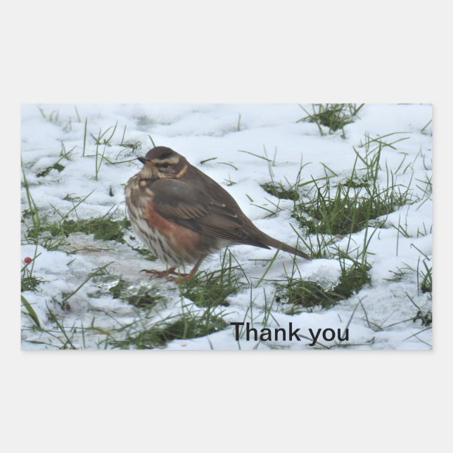 Adesivo Retangular Redação (Frente)