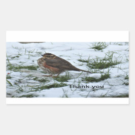 Adesivo Retangular Redação