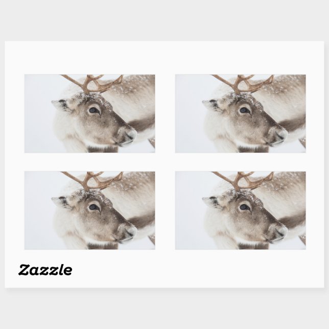 Adesivo Retangular Reindeer Nature Photo (Folha)