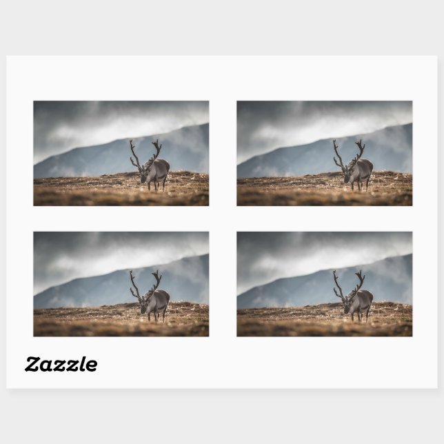 Adesivo Retangular Reindeer Nature Photo (Folha)