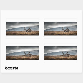 Adesivo Retangular Reindeer Nature Photo