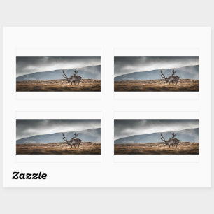 Adesivo Retangular Reindeer Nature Photo