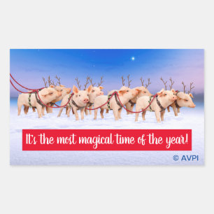 Adesivo Retangular Reindeer Pigs