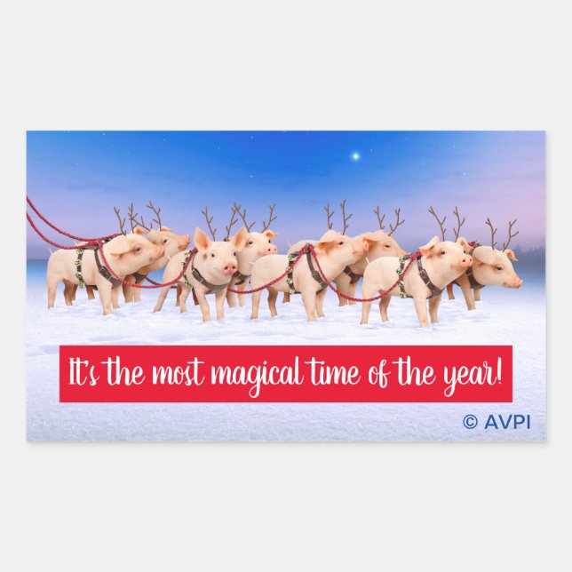 Adesivo Retangular Reindeer Pigs (Frente)