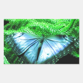 Adesivo Retangular Respiração Tomando Borboleta Azul Iridescente