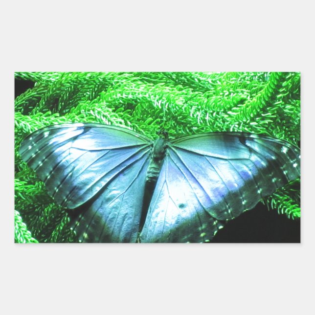 Adesivo Retangular Respiração Tomando Borboleta Azul Iridescente (Frente)