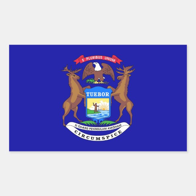 Adesivo Retangular Retângulo com Flag de Michigan, EUA (Frente)