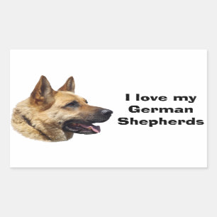 Adesivo Retangular Retrato de cão German shepherd alsaciano
