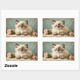 Adesivo Retangular Retrato De Gato De Gatinho Persa E Gatinho De Gati