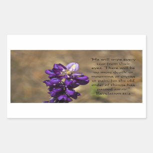 Adesivo Retangular Revelação 21:4