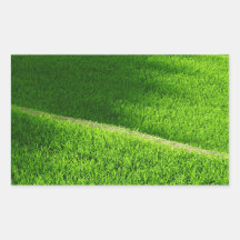 Rice Terraces Yamada's Rice Fields Japão