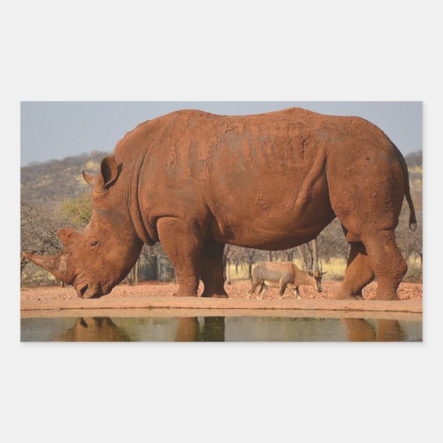 Adesivo Retangular Rino com lama na foto da pele (Frente)