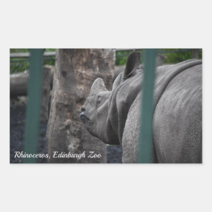 Adesivo Retangular Rinoceronte de Corno Único Maior do Zoológico de E