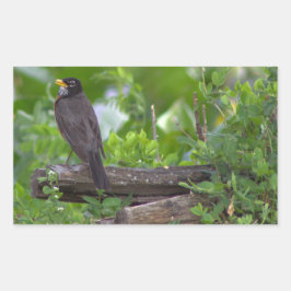 Adesivo Retangular Robin Photo Stickers