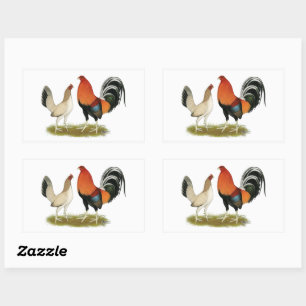 Adesivo Retangular Rodas de Gamefowl