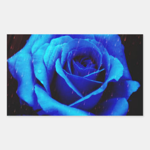 Adesivo Retangular Rosa Azul Dramático