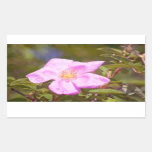 Adesivo Retangular Rosa Briar