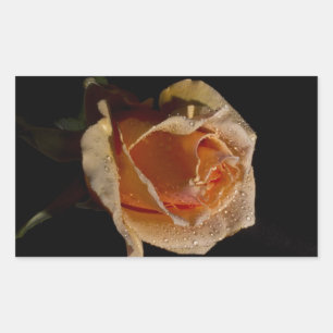 Adesivo Retangular Rosa de laranja 1